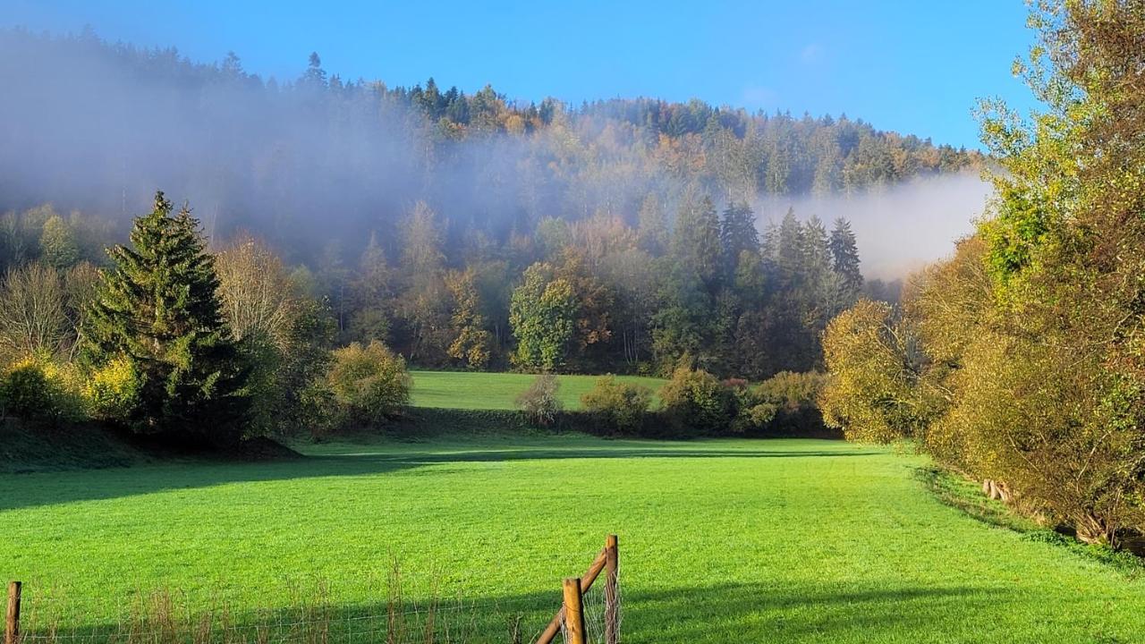 Am Schwarzwaldrand * Nagold