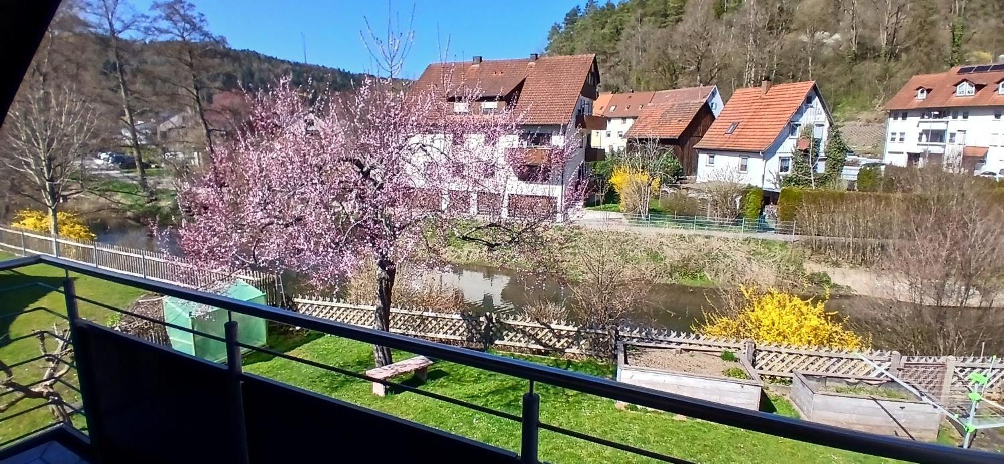 Am Schwarzwaldrand * Nagold